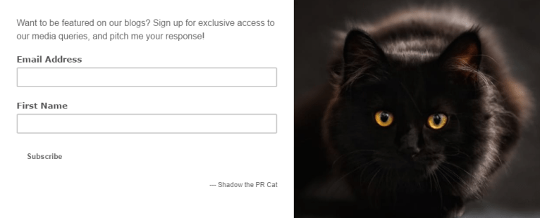 Shadow the PR Cat Subscribe Newsletter.png